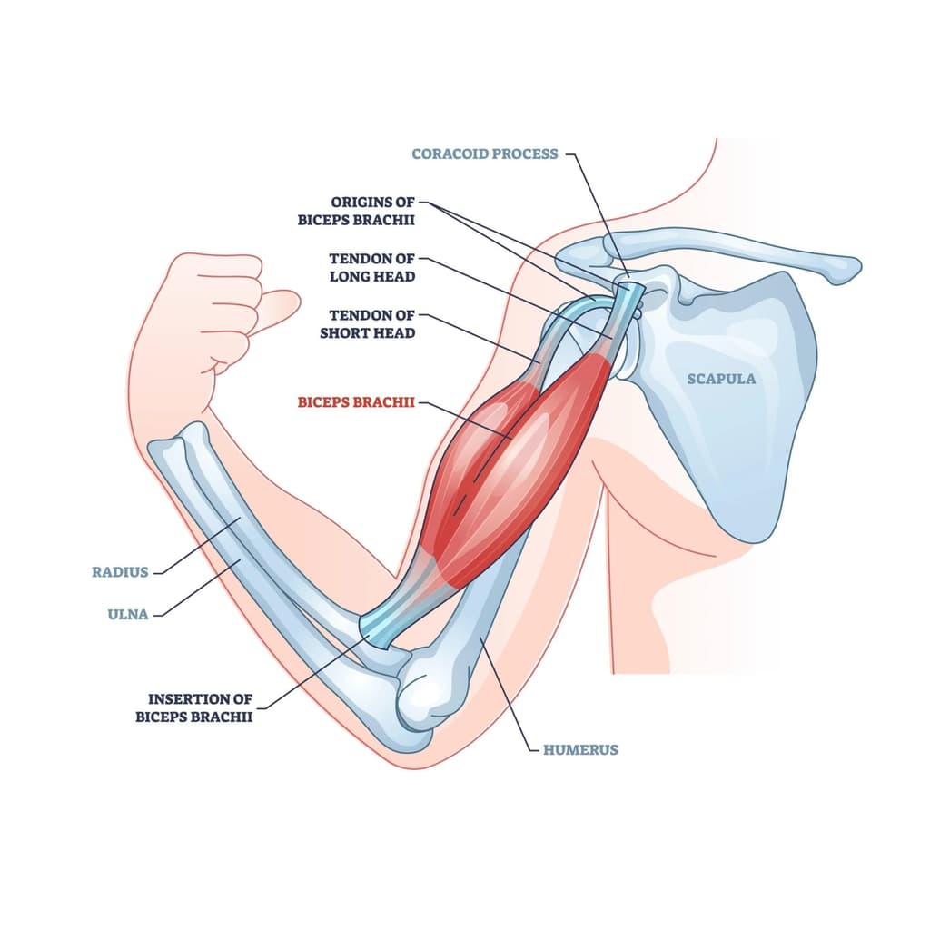 Injury Info