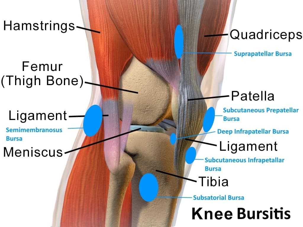 Injury Info