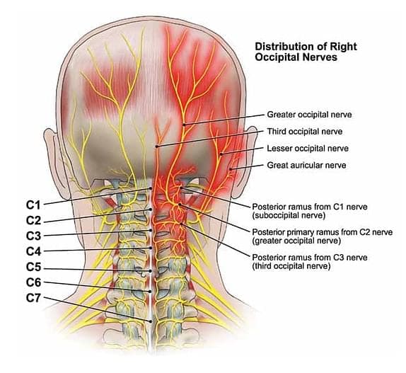 Injury Info