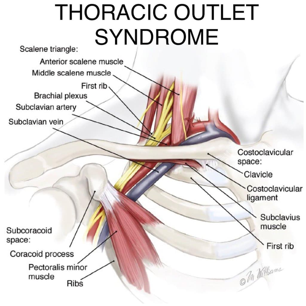 Injury Info